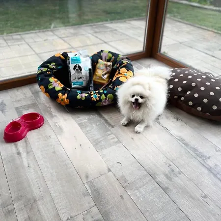 Farmhopping Village Villa Dobărsko