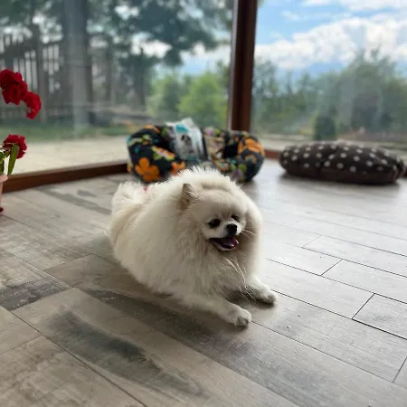 Farmhopping Village Villa *