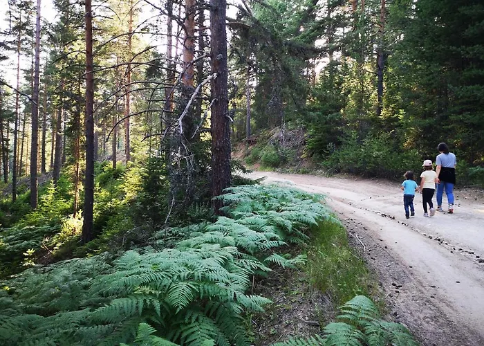 Farmhopping Village *