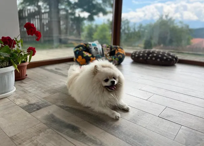 Farmhopping Village וילה *